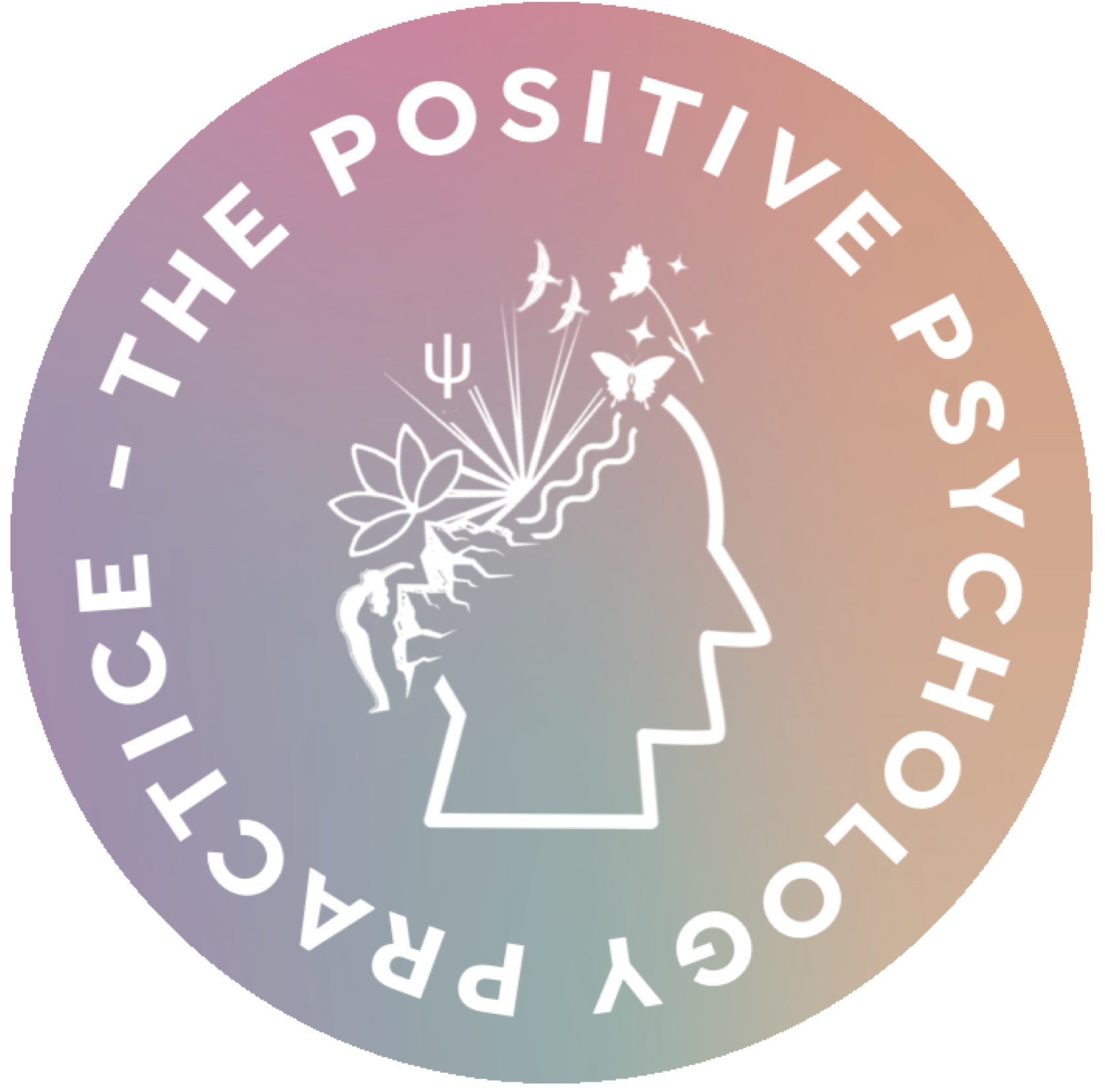 The Positive Psychology Practice